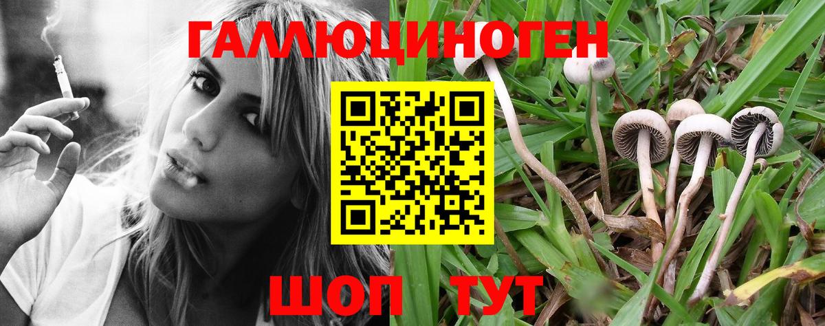 Галлюциногенные грибы Magic Shrooms  Вход с VPN  купить наркотики цена  Дубна 